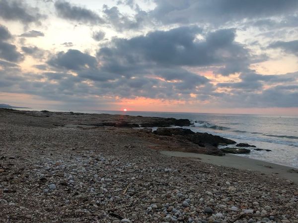 Lectura Viernes, 7 de julio